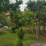 Tatil Evi 